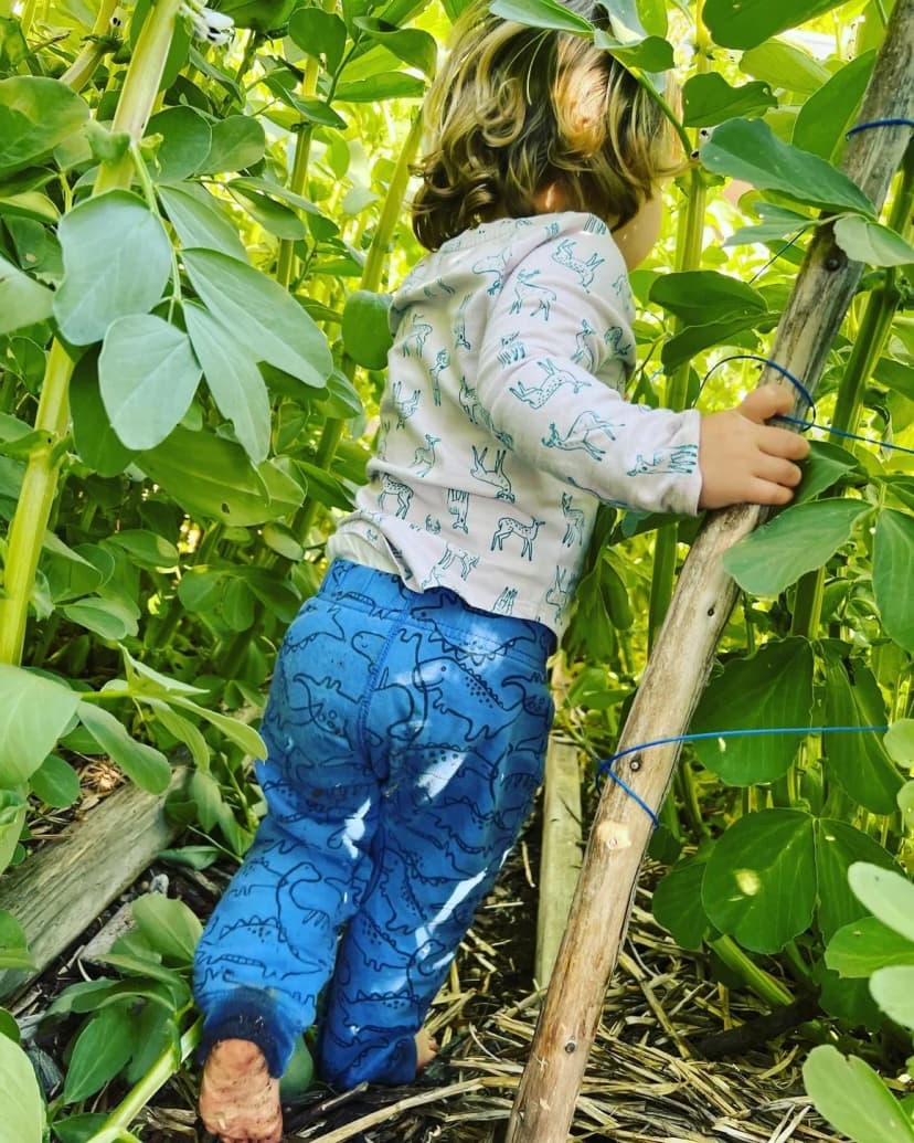 Child exploring in the garden