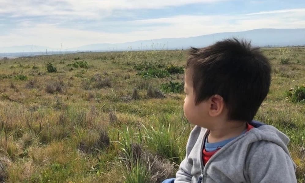 How Long Does It Take to Make a Friend?