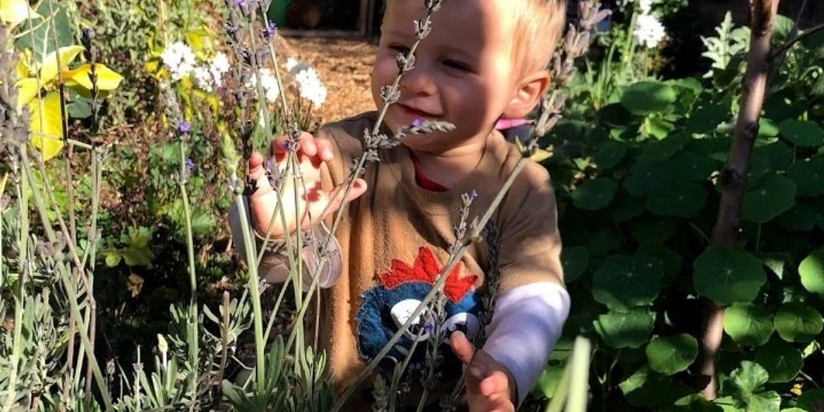 Mindfulness in the Garden: Teaching Children to Be Present