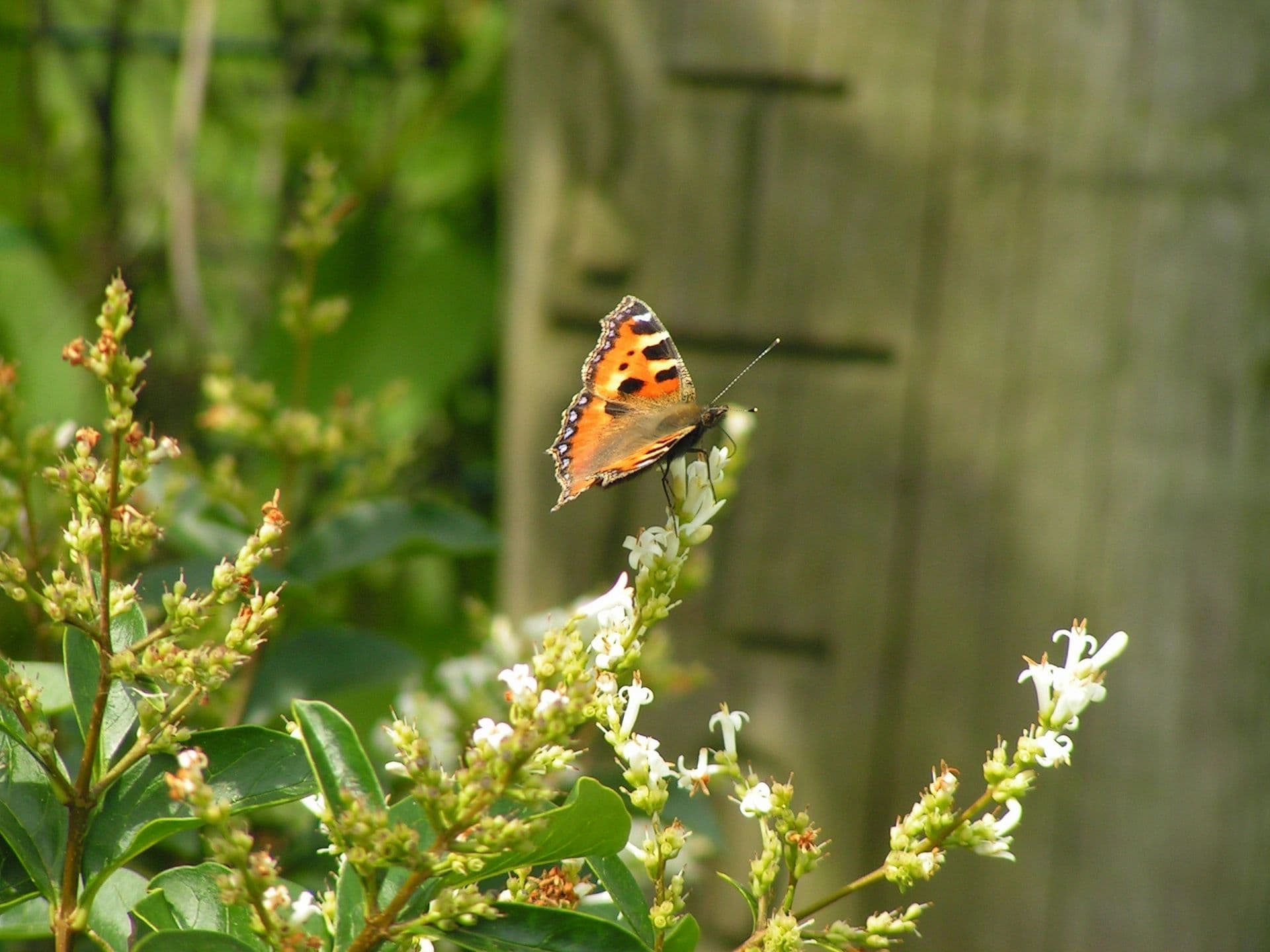 When We First Started Eco